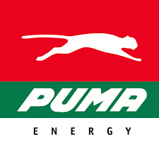 puma energy recrutement